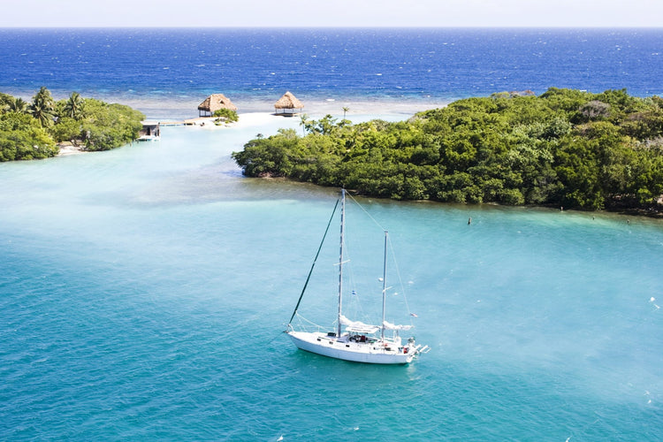 Deserted Islands & Jungle Romance